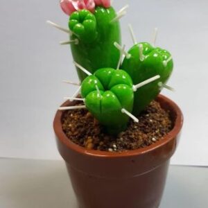 Карамельный кактус в горшке