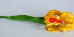 Карамельные ирисы