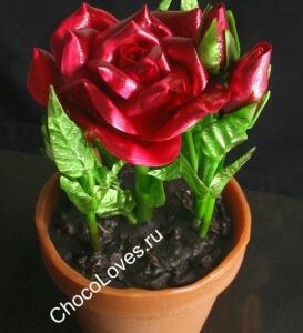 Роза из карамели в горшке